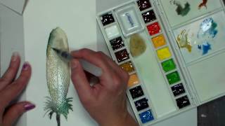 Holbein Watercolor Review [upl. by Aronel]