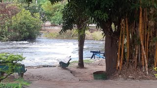 caminhada 🚶‍♀️ em meio a natureza oeste bahiano [upl. by Enitsugua]