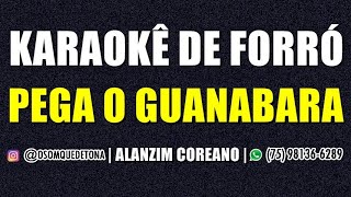 KARAOKÊ DE FORRÓ  PEGA O GUANABARA ALANZIM COREANO [upl. by Acinot]