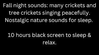 Crickets amp tree crickets sing calmly on fall night black screen sleep relax 10 hour cricket sounds [upl. by Losiram391]