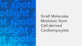 Small Molecules Modulate Stem Cellderived Cardiomyocytes [upl. by Roche]