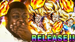 This Was Unbelievable NEW LR Gohan and Broly Summons on Dokkan Battle WWDC Part 2 [upl. by Tiler951]