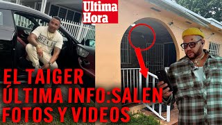 Última Hora EL TAIGER🚨NUEVA EVIDENCIA FOTOS Y VIDEOS QUE CAMBIAN TODO SOBRE DAMIÁN VALDÉS‼️ [upl. by Damita]