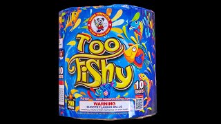 Too Fishy  200 Gram Cake  Winda Fireworks [upl. by Ahsienyt]