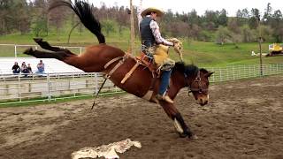 Epic Bronc Riding Practice  32419  Veater Ranch [upl. by Paz]