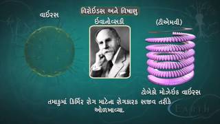 11th Science Gujarati Biology  Education Video  ELEVEN GATES [upl. by Acysej]