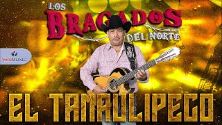 Los Bragados Del Norte quotEl Tamaulipecoquot Video Oficial [upl. by Allene]