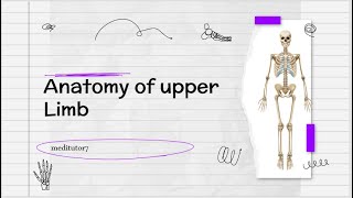 Anatomy of humerus part 1Anatomy of upper limbUpper lim Anatomy Hmerus bone in urdu hindi lecture [upl. by Elysha]