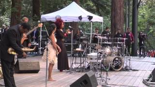 Sheila E Live at Stern Grove Festival [upl. by Etnoel538]