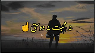 Na Mohabbat Na Dosti  Dosti Shayari Status  Sad Shero Shayari Whatsapp status [upl. by Ardyth404]