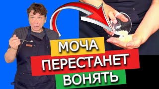 Всем у кого моча воняет надо сделать это … [upl. by Ellemaj185]