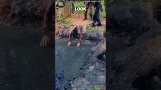 Very Hard Indian training Cammndo training Army MasEducationalHub Shortfed YouTubeshorts Shorts [upl. by Tunk354]