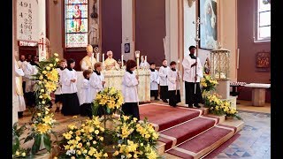 Pontifikal påskedagsmesse i St Olav domkirke Oslo [upl. by Aikit]