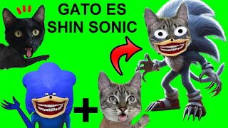 SOY UN GATO SHIN SONIC VS gatitos Luna y Estrella  Videos de Shin Sonic Tapes en la vida real [upl. by Reseta]