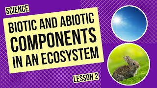 Biotic and Abiotic Components in an Ecosystem [upl. by Amsirahc]