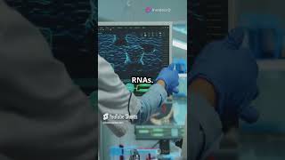 Unveiling Non Coding RNAs Cellular Regulators science school trending ytshort ytshorts facts [upl. by Oludoet]