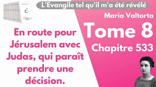 Maria Valtorta  Tome 8 chapitre 533  LEvangile tel quil ma été révélé [upl. by Avad]