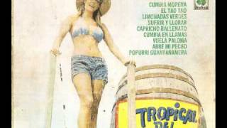 TROPICAL DEL BRAVO CUMBIA EN LLAMAS VOL2 1979 [upl. by Ulah726]