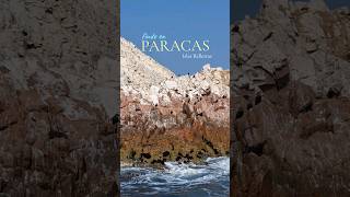 VLOG ISLAS BALLESTAS 📍PARACAS 🇵🇪 mariapatriciavlog peru turismo [upl. by Tonneson]