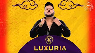 Luxúria  Com Kinho Barão 2024 [upl. by Nidak473]