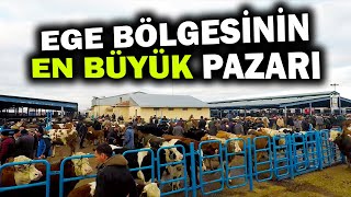 Afyonkarahisar Çayırbağ Hayvan Pazarı  Bölüm 1  2024 [upl. by Eetsud]