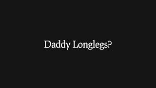 Are Daddy Longlegs Spiders Re 8 Animal Misconceptions Rundown [upl. by Gallagher]