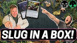 Boxing Day Fight Rigging  Magic Arena Gameplay MTG [upl. by Celin]