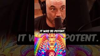 Joe Rogan Crazy DMT Experience jre [upl. by Jordon847]