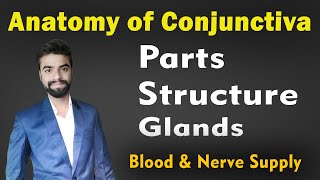 Conjunctiva Anatomy in Hindi  Parts Structure amp Glands of Conjunctiva  Abhishek insight [upl. by Mariko]