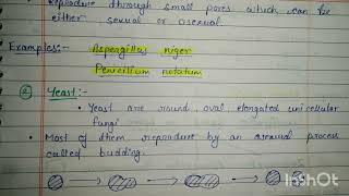 Morphological Classification of FUNGIMsc and bsc botany notes botanynotes biology [upl. by Meekar422]