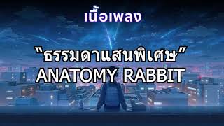 เนื้อเพลง ธรรมดาแสนพิเศษ  ANATOMY RABBIT [upl. by Elleuqram]