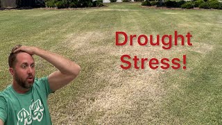 Is your lawn in drought stress [upl. by Atirat596]