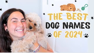 The Best Dog Names of 2024  Male amp Female Puppy Name Ideas [upl. by Aicinat]