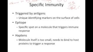 Immune Response Overview [upl. by Siuol215]