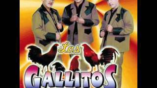 Los Gallitos de Chihuahua Me Ilucionaste [upl. by Candis715]