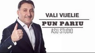 VALI VIJELIE  PUN PARIU [upl. by Yordan]