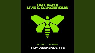 Bits  Pieces  Mixed The Tidy Boys Remix [upl. by Towroy103]