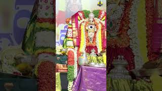 Sri Prasanna Venkateswara Swamy Kalyanam at Appalayagunta Temple tirupatibalaji tirumalahills [upl. by Nelyt]