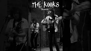 The Kooks  Seaside  Acoustic Version With Lyric [upl. by Adnamaa935]