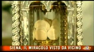 IL MIRACOLO EUCARISTICO DI SIENA  Lunico Miracolo Eucaristico in atto [upl. by Annoyik112]