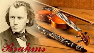 Brahms Classical Music for Studying Concentration Relaxation  Study Music  Instrumental Music [upl. by Lirrad]