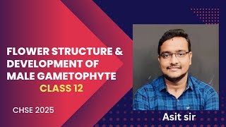 Structure of flower amp Development of male gametophyte  Class 12  CHSE 2025 [upl. by Alledi]