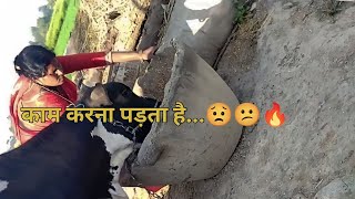 तुम गाली क्यों दे रहे थे😏😁😄😂 [upl. by Ahsii]