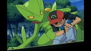 Pokémon AMV – Sceptile – Never Too Late [upl. by Avrenim]