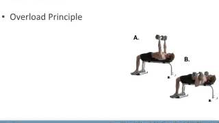 ACSM Guidelines Resistance Training [upl. by Grizelda]