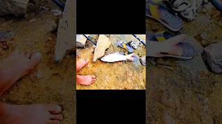 fishing 🎣 machli video videos viral viralvideo tranding trandingvideo trandingvideos [upl. by Corell841]