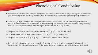 phonological and morphological conditioning [upl. by Nera246]