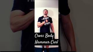 Biceps Exercise at Home  Cross Body Hammer Curl biceps armworkout [upl. by Mort]