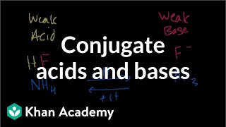 Conjugate acids and bases [upl. by Assiran401]