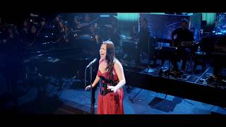 EVANESCENCE  Overture Never Go Back Synthesis Live DVD [upl. by Gardal]